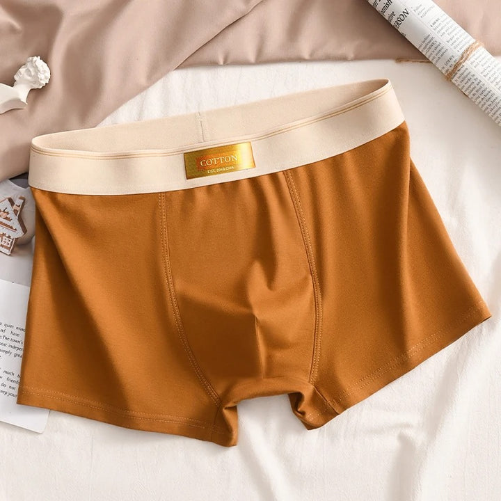 Men’s Ultra-Soft Cotton Boxer Briefs