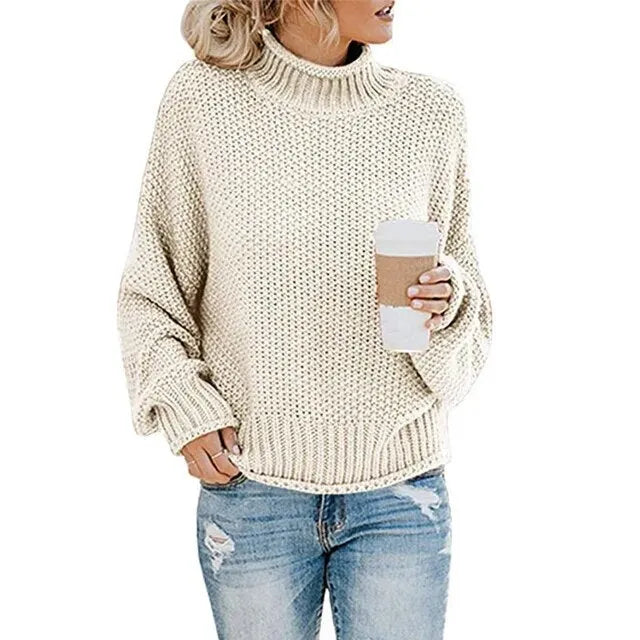 Thick Knit Sweater with a High Neckline